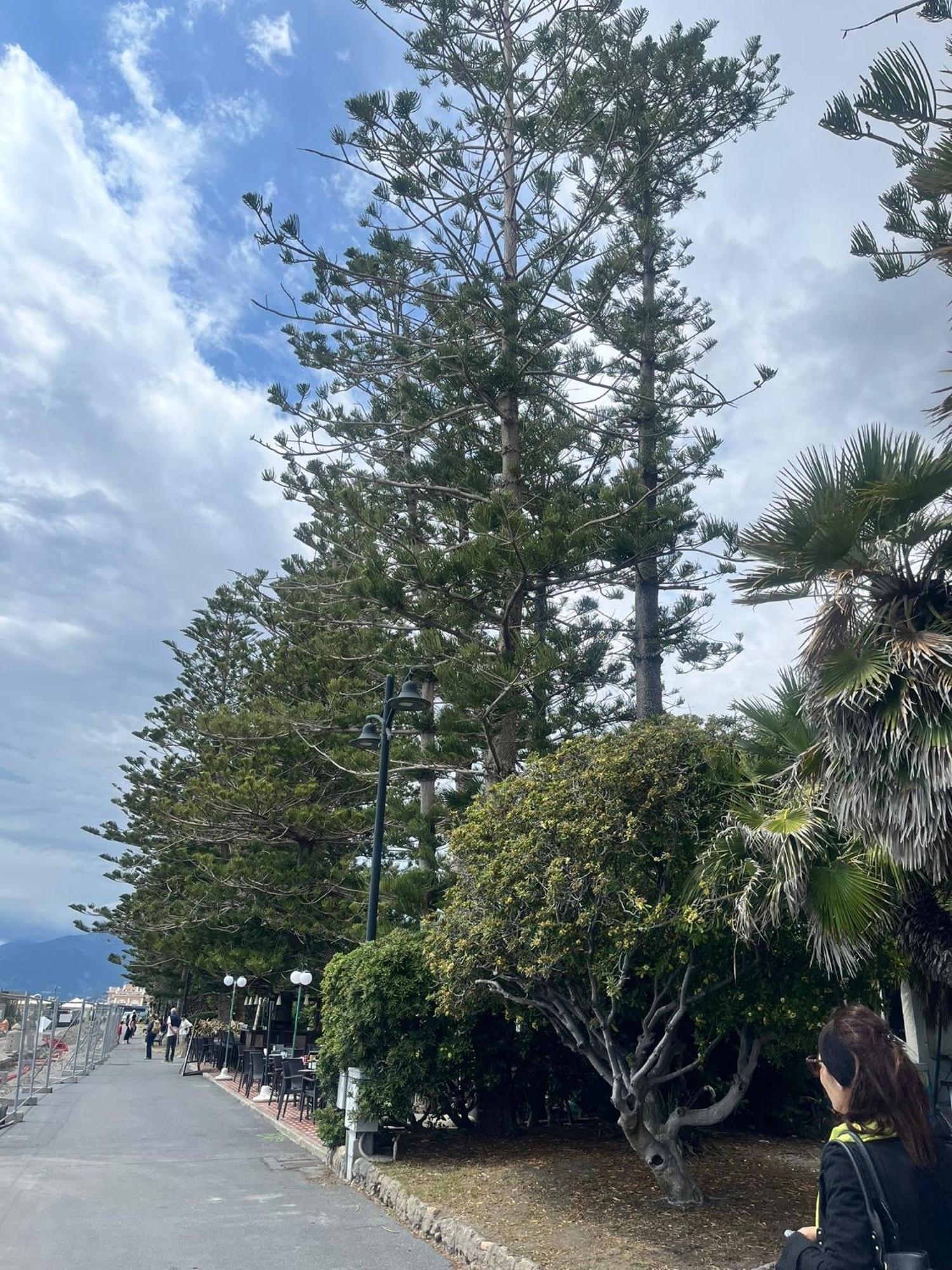 Casa Vacanza! A 50M Dal Mare! Bordighera Zewnętrze zdjęcie